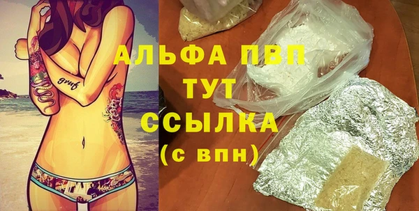 индика Нея