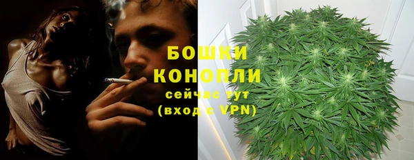 ECSTASY Абаза