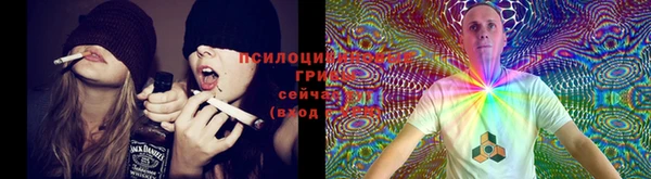 индика Нея