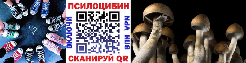 Галлюциногенные грибы Psilocybine cubensis Пойковский